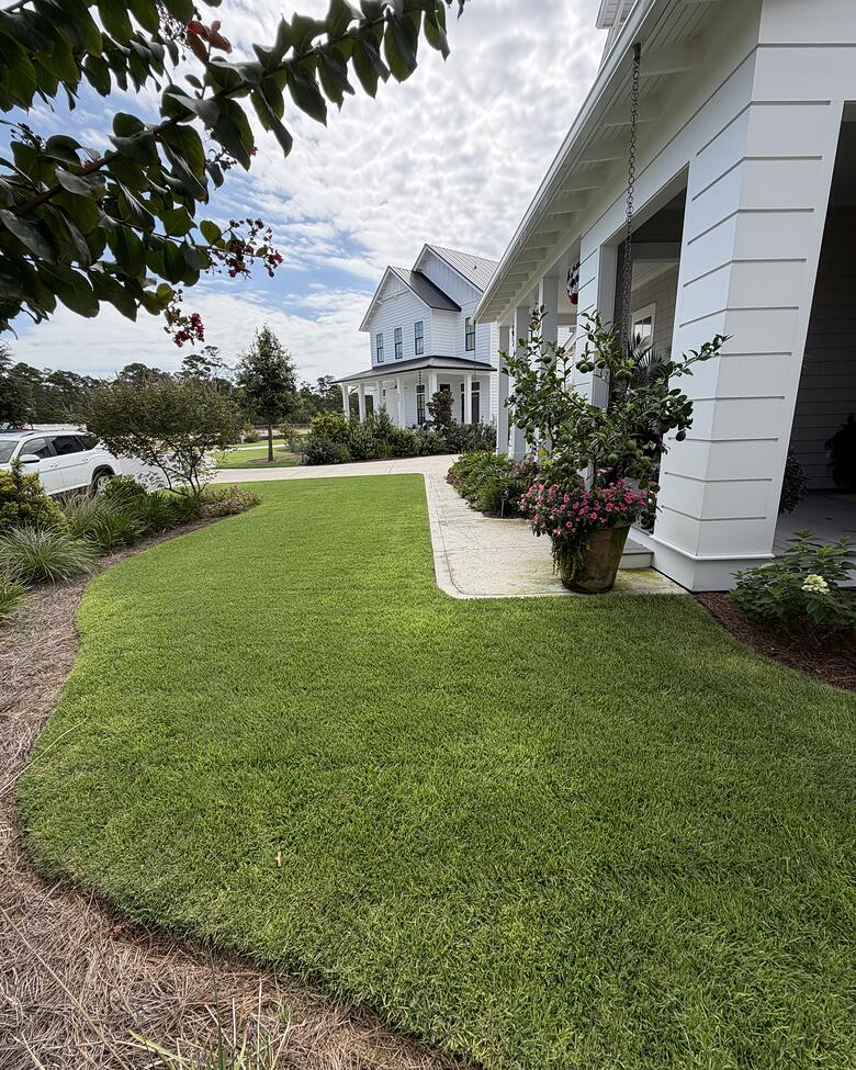 A crepe myrtle framing a white coastal home with a fresh bed line